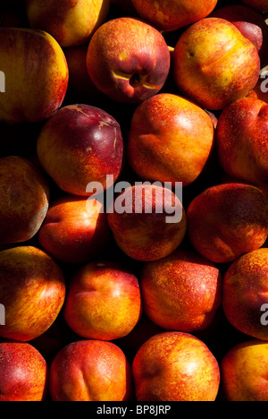 Pesche Prunus persica sul mercato di vendita Beirut Libano Medio Oriente Foto Stock