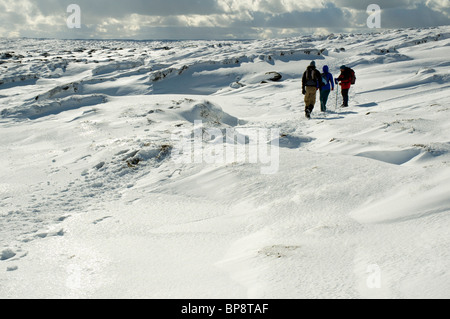 Gli scuotipaglia e derive di neve sulla Kinder Scout altopiano in inverno, Peak District, Derbyshire, England, Regno Unito Foto Stock