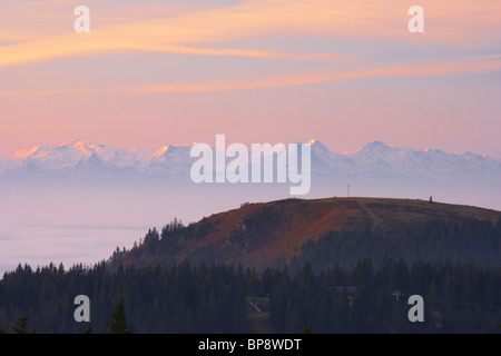 Vista dal monte Feldberg oltre il Herzogenhorn per le Alpi svizzere, Sunrise, Autunno, Foresta Nera, Baden-Wuerttemberg, germe Foto Stock