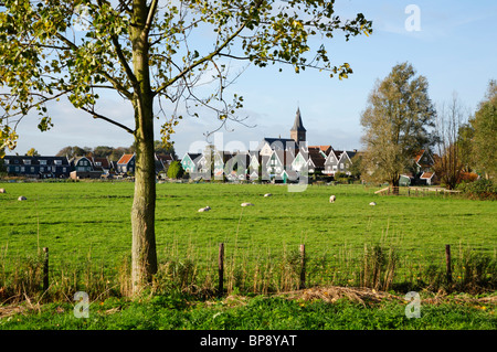 Un campo con pecora e di un villaggio di fattoria di là. Marken, Paesi Bassi, Europa Foto Stock