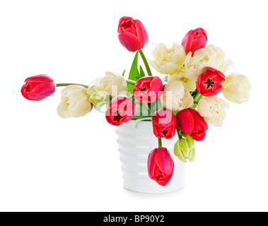 Bouquet di rosso e bianco tulipani isolati su sfondo bianco Foto Stock