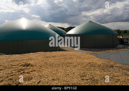 Mais da insilato in mano, impianto di produzione di biogas nei pressi di Hannover, Germania Foto Stock