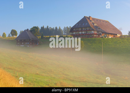 In mattinata il Oberes Jostal (valle), nebbia, estate, Foresta Nera, Baden-Wuerttemberg, Germania, Europa Foto Stock