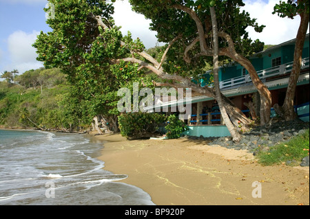 Acque Blu Inn, Bateau Bay, Speyside, Tobago, dei Caraibi Foto Stock