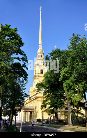 Campanile, la Cattedrale di San Pietro e Paolo, Zayachy Isola, San Pietroburgo, regione nord-occidentale, la Russia Foto Stock