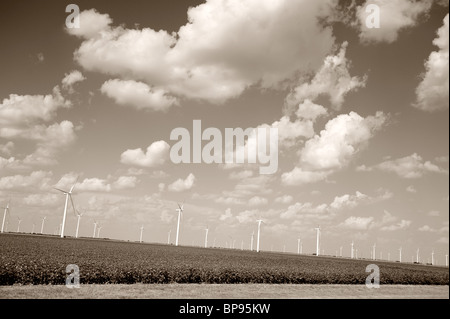 Le turbine eoliche in un campo di cotone in Texas occidentale Foto Stock