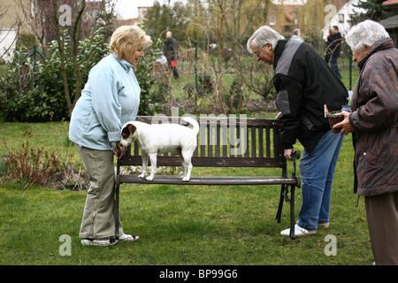 Una donna e un uomo che porta una panchina da giardino con un cane, Cottbus, Germania Foto Stock