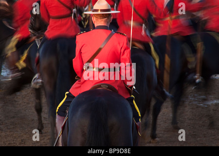 Royal Canadian polizia montata Musical RIde Foto Stock