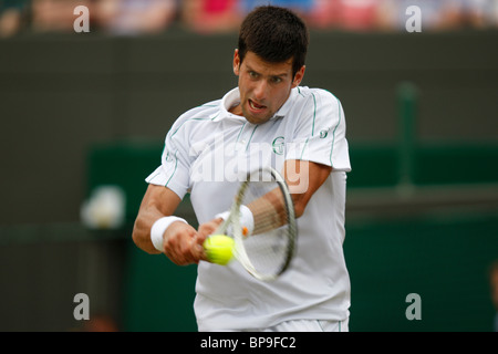 Novak Djokovic di Serbia in azione al 2010 campionati di Wimbledon Foto Stock