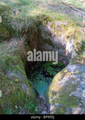 Buca naturale, formato da stone(s) turbinano intorno da acqua di disgelo che scorre sotto il ghiaccio durante l'era glaciale. Foto Stock