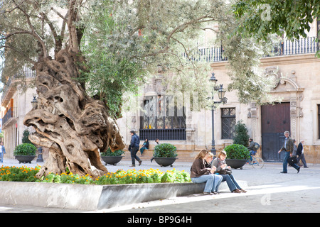 Plaza Cort, Palma de Mallorca, Spagna Foto Stock