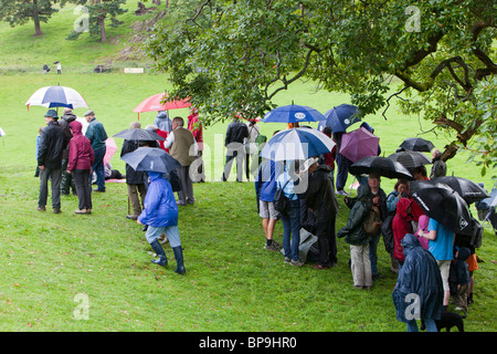 Non sarebbe un estate britannica senza mostrare essendo piovuto su.spettatori rifugiarsi sotto un albero a valle di Rydal visualizza Foto Stock