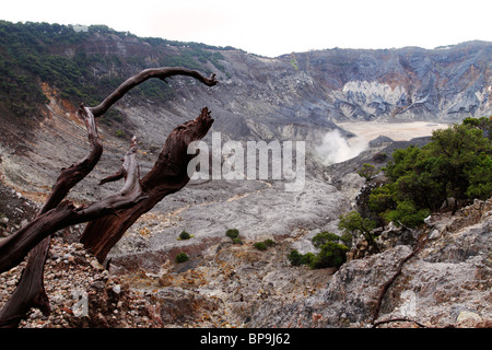 Ancora fumo che esce dal cratere Ratu a Mt. Tangkuban Perahu vicino a Bandung, Indonesia. Foto Stock