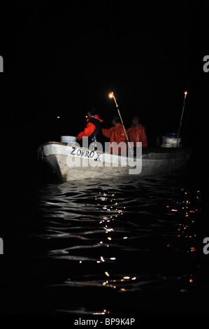 I pescatori locali di pesca calamaro di Humboldt nel mare di Cortez Foto Stock