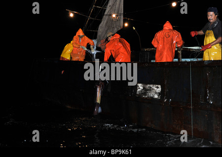 I pescatori locali di pesca calamaro di Humboldt nel mare di Cortez Foto Stock