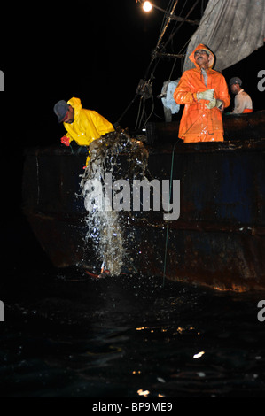 I pescatori locali di pesca calamaro di Humboldt nel mare di Cortez Foto Stock