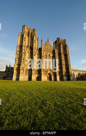 Cattedrale di Wells, Somerset, in un pomeriggio d'inverno. La facciata della cattedrale fu iniziata nel 1180. Foto Stock