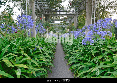 Bella passerella verso un lussureggiante giardino. Foto Stock