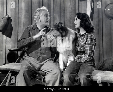 FRANK MORGAN, Elizabeth Taylor, il coraggio di LASSIE, 1946 Foto Stock