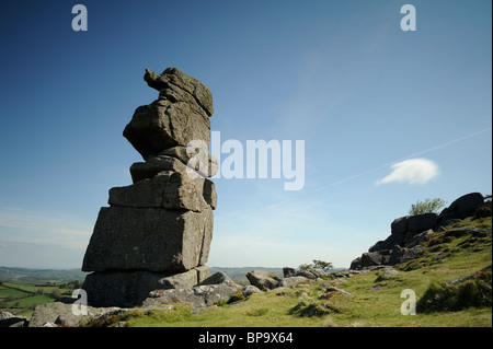 Bowerman del naso, una pila di weathered granito, su Hayne giù vicino Manaton, Dartmoor. Foto Stock