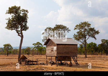 Casa in legno su palafitte e alberi in zone aride campagna - Siem Reap Provincia, Cambogia Foto Stock