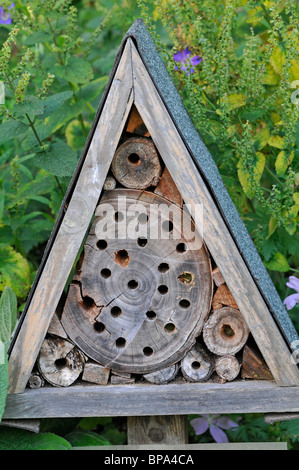 Hotel di bug, nido artificiale fori e rifugio per gli insetti e invertebrati Foto Stock