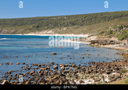 Spiaggia rocciosa Yallingup Margaret River Western Australia Foto Stock