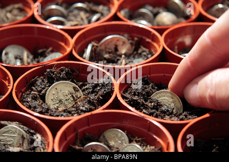 British monete 'crescita' in vasi per piante. Foto Stock