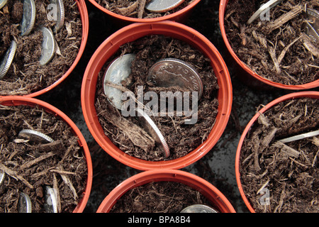 British monete 'crescita' in vasi per piante. Foto Stock