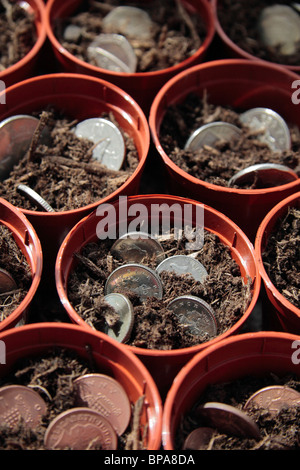 British monete 'crescita' in vasi per piante. Foto Stock