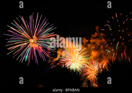 Fuochi d' artificio scoppia nel cielo notturno, su alberi (appena visibile). Spazio per il testo nel buio del cielo notturno. Foto Stock