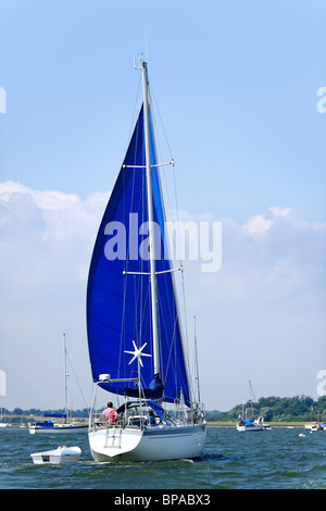 Vele blu - barca a vela sull'estuario Foto Stock