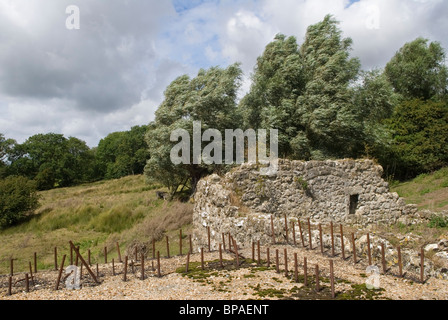 Rovinata Cappella di nostra Signora. Court at Street vicino ad Aldington Kent. Anni '2010 2010 Regno Unito. Fu qui che Elizabeth Barton, la Santa Maid del Kent (1506-1534) fu curata dalla sua malattia. HOMER SYKES Foto Stock