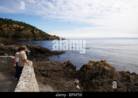 Matura in piedi a trascurare la visualizzazione di kayak da mare. Fornace di calce parco dello stato di Washington. San Juan Island. Foto Stock