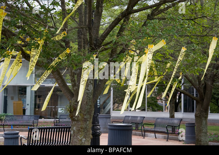 Nastri giallo appeso al centro di Quincy, Massachusetts, per militare americano che serve personale all'estero in Iraq e in Afghanistan Foto Stock