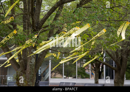 Nastri giallo appeso al centro di Quincy, Massachusetts, per militare americano che serve personale all'estero in Iraq e in Afghanistan Foto Stock