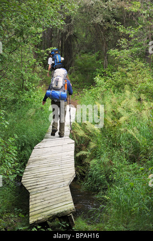 Con lo zaino in spalla in Prince Albert Parco Nazionale. Sul grigio Sentiero del Gufo. Foto Stock