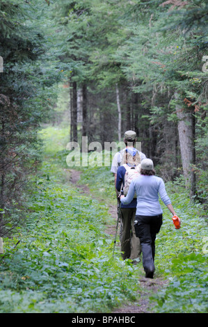 Con lo zaino in spalla in Prince Albert Parco Nazionale. Sul grigio Sentiero del Gufo. Foto Stock