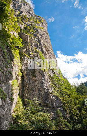 Paesaggio estivo di Bicaz Canyon in Romania. Foto Stock