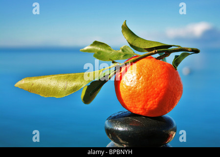 Arancione con le sue foglie, art picture Foto Stock