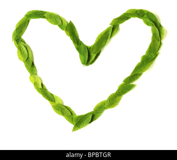 Cuore fatto di foglie Foto Stock