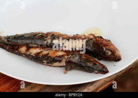 Grigliata di fresco (su una griglia a carbone) Sardine su una piastra Foto Stock