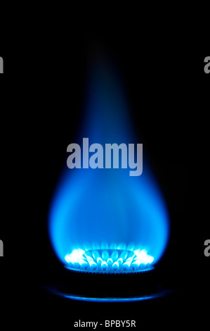 Bruciatore a gas con fiamma blu Foto Stock