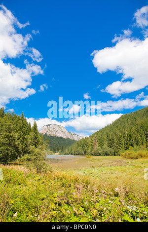 Paesaggio del retro del Lago Rosso e monti Hasmas in Romania in estate. Foto Stock