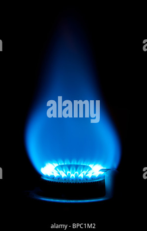 Bruciatore a gas con fiamma blu Foto Stock