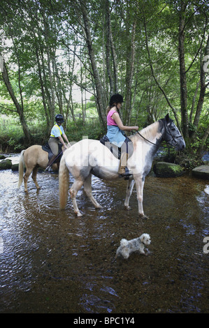 Equitazione attraverso Dartmoor river, Devon, Regno Unito Foto Stock