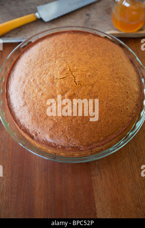 Round torta di miele Foto Stock