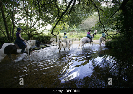 Equitazione attraverso Dartmoor river, Devon, Regno Unito Foto Stock