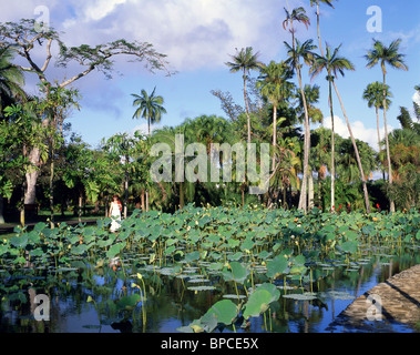 Lotus Pond, Sir Seewoosagur Giardini Botanici, Pamplemousses distretto, Repubblica di Mauritius Foto Stock
