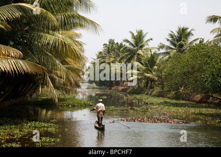 Allevamento di anatra su le lagune, Kerala, nell India meridionale Foto Stock